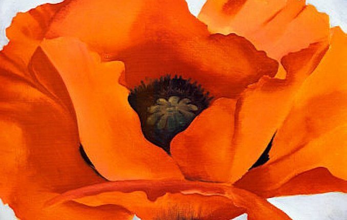 https://www.ava360.com/wp-content/uploads/2018/03/Her-Most-Famous-Painting-Oriental-Poppies-Georgia-OKeeffe-678x430.jpeg